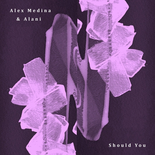 Alex Medina, Alani - Should You - Broken Window [MB029]